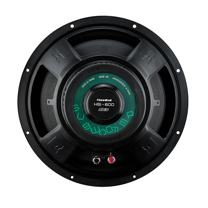 HANNIBAL HS-600 D4 | 12" Subwoofer - Image 4